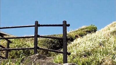 Gay Porn Summer Boys Japanese Delight: JGV Action Asian Passion Unleashed!