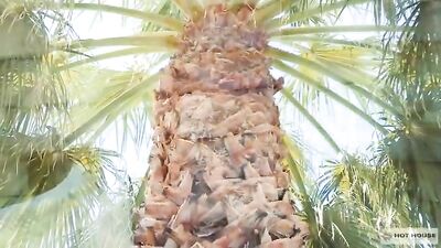 Cum Swallowing Oral Delights: Boys in Short Films!