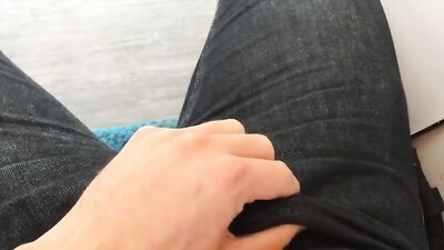 Public Train Wank - X-Rated Adventure!