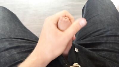 Public Train Wank - X-Rated Adventure!