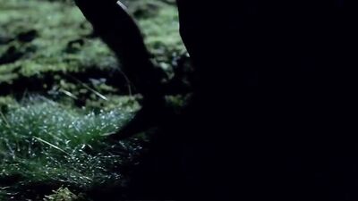 Criminal Lovers - The Perverted Fairytale