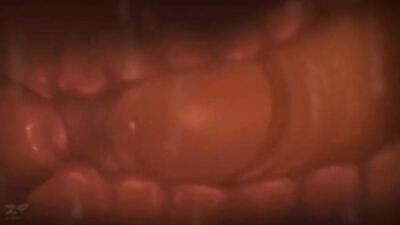 Animation Fuck Fest: Cartoon Cum Shots Galore!