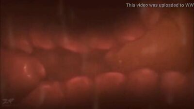 Animation Fuck Fest: Cartoon Cum Shots Galore!