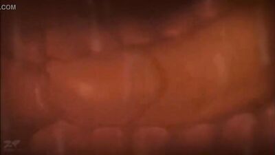 Animation Fuck Fest: Cartoon Cum Shots Galore!