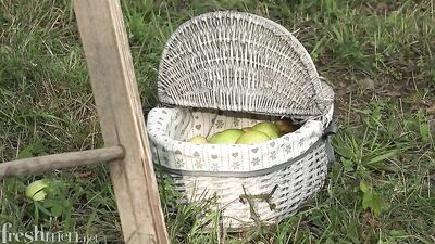 Jimmie & Dallas Country Side Adventure - Action Bareback Freshmen