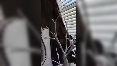 Gay Porn Tradie Caught Risky Jerk-Off Session Twink Boys Webcam