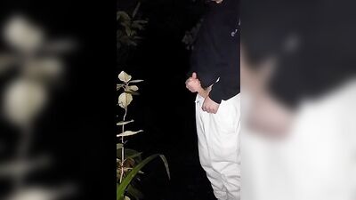 Nightwoods Cumshot: A Gay Porn Adventure!