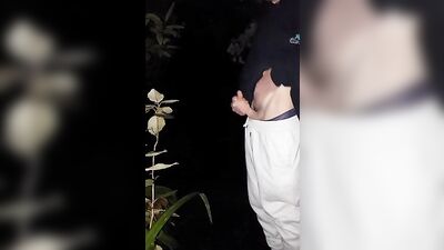 Nightwoods Cumshot: A Gay Porn Adventure!