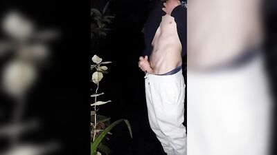 Nightwoods Cumshot: A Gay Porn Adventure!