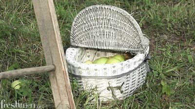 Outdoor Musical Sexual Activities - Twinks Bareback Cum Shots Handjob Oral Porn