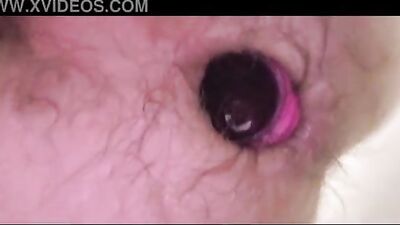 Prolapsus Pumping: Amateur Fetish Fun Solo Web-Cam