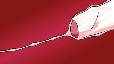 Cartoon Bareback Adventures: Unleash Your Inner Superhero!