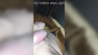 Gay Porn Twink DNZ Wanks His Big Cock in Solo Web-Cam Frat Boy Sex