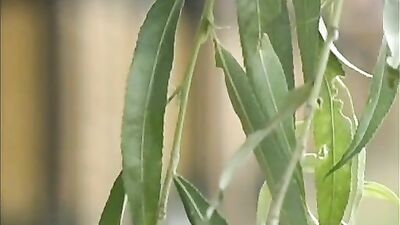 Summer Sex Camp: Cum Shots, Group Sex and More Twinks!