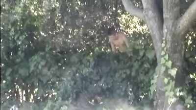 Outdoors - 037: A Rough and Wild Encounter!