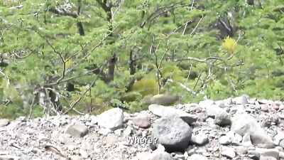 Latin Twinks in Cabin Room Sex Show: Explosive Gay Porn Action