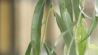 Nature Buddies Fucking Hot Boy Porn - Wild Outdoor Oral Sex Adventure