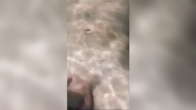 Water Worship - Black Interracial Web-Cam Jerking