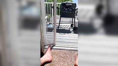 Gay Porn Video - Dnz Young, Inked, Hung and Horny as F**k!