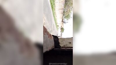 Masturbating Latino Goes Wild - Magrinho Dotado Gozando