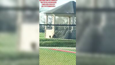 Black Stud with Huge Cock Gets a Public Exposure