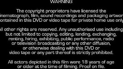 Spy Boy 2: Gay Porn Thrills