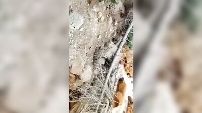 Blissful Oral Delight: Boy Sucking Mans Cum