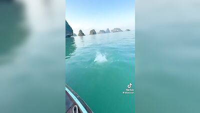 Summer Heat! PHAT PoolBoys Sizzle in the Gay Tube!