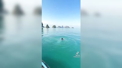 Summer Heat! PHAT PoolBoys Sizzle in the Gay Tube!