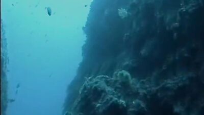 Die Kadetten von U-69: The Legend Returns! Cum Shots, Group Sex, Oral and More!