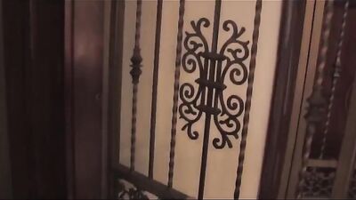 The Boy Nextdoor - 007: Action-packed Black Oral Group Sex