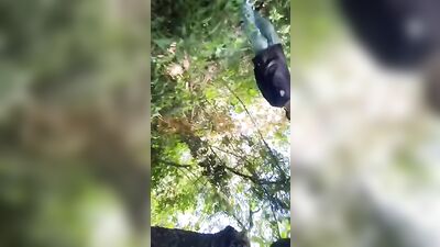 Mato Latino - Two Malokas F*cking and Getting Paid in Public!