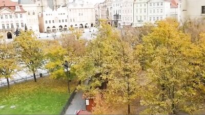 #My Friends Love: A Wild Orgy of Bareback Action!