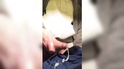 Gay Porn - Cumming Boys in Underwear Stoner Bator - Big Amateur Cocks Fetish Vintage cum-moaning Enjoy the gay porn action with hot boys and a lot of cumming!