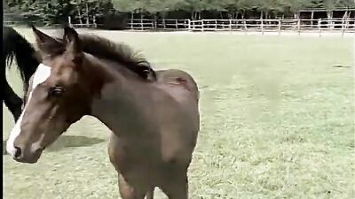 Tentación de gitan0s: Classic Muscle Men Public Outdoor Vintage Porn