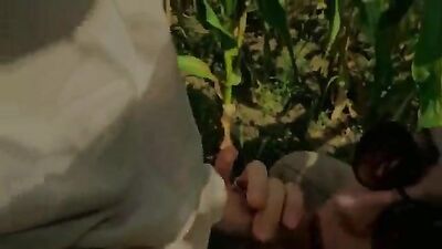 Golden Age Twinks in a Cornfield Oral Explosion!