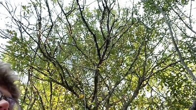 Gay Beach Porn Teen Muscles Handjob Blond Action Amateur Cocks Big Boys Outside Solo Ben Wanks Hammock!