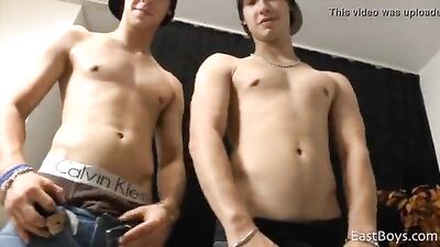 Gay Porn Ins - Cute Twins: Masturbation and Jacking Off with Hot Twin Boys