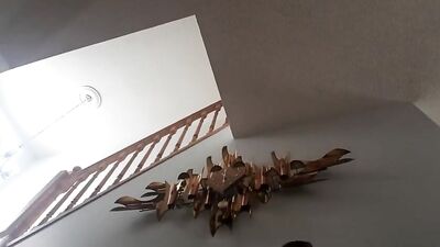 Gay Porn Web-Cam Solo Sex Cum Shots