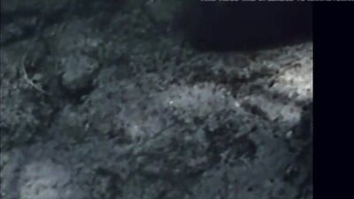 Raw Sexual Pleasures! Wild Gay Boys Porn Tube Revisited