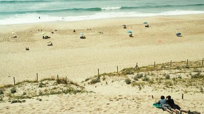 Gay Porn Video - Men Play It Like A Short Film