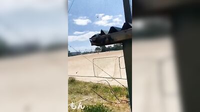 Asian Pissing Student Voyeur Toilet: The New Spy Game!