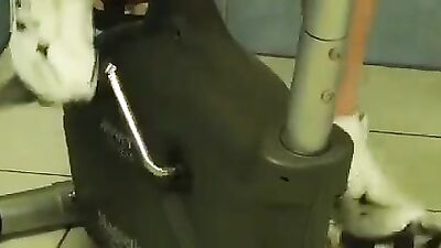 Twinks Run Wild - Hardcore Gay Porn Bareback Action