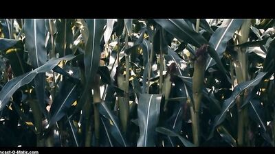 Straight to the Point - Hardcore Corn Erotic Gay Porn Short Film