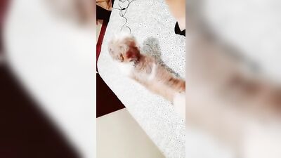 Sulistinha: Amateur Latino Fun with Gustavo Souza - SouGustas 13