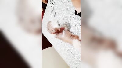 Sulistinha: Amateur Latino Fun with Gustavo Souza - SouGustas 13