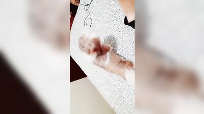 Sulistinha: Amateur Latino Fun with Gustavo Souza - SouGustas 13