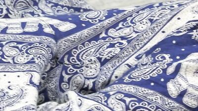 Tim & Oscars Wild Summer Adventures