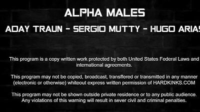 Gay Porn: Alpha Males - [HK] Ultimate Mens Video Collection