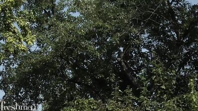 Jamie Pierce After Lunch Hot Sex - Rubax Video Twinks Cum Shots Oral Porn Bareback Handjob